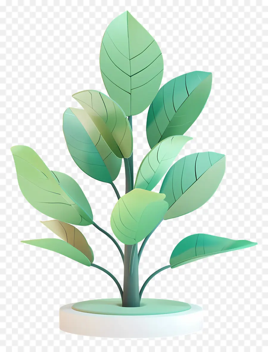 Plant，Papier Arbre PNG