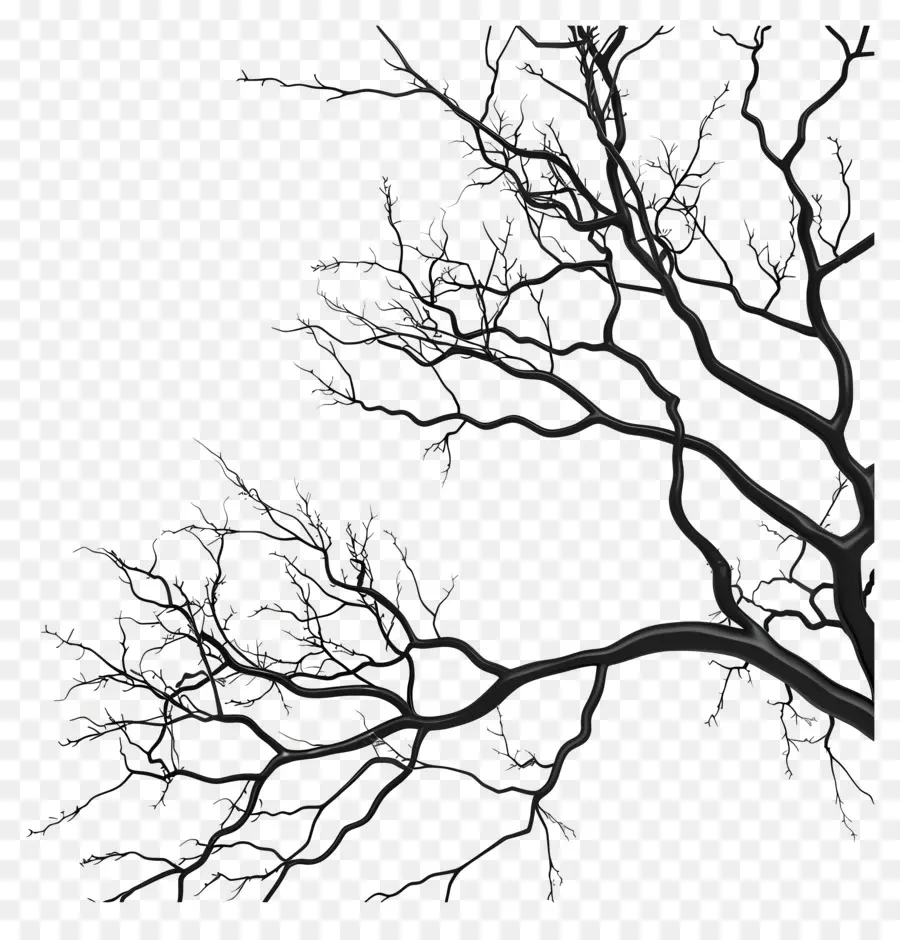 Branches Nues，Silhouette D'arbre Noir PNG