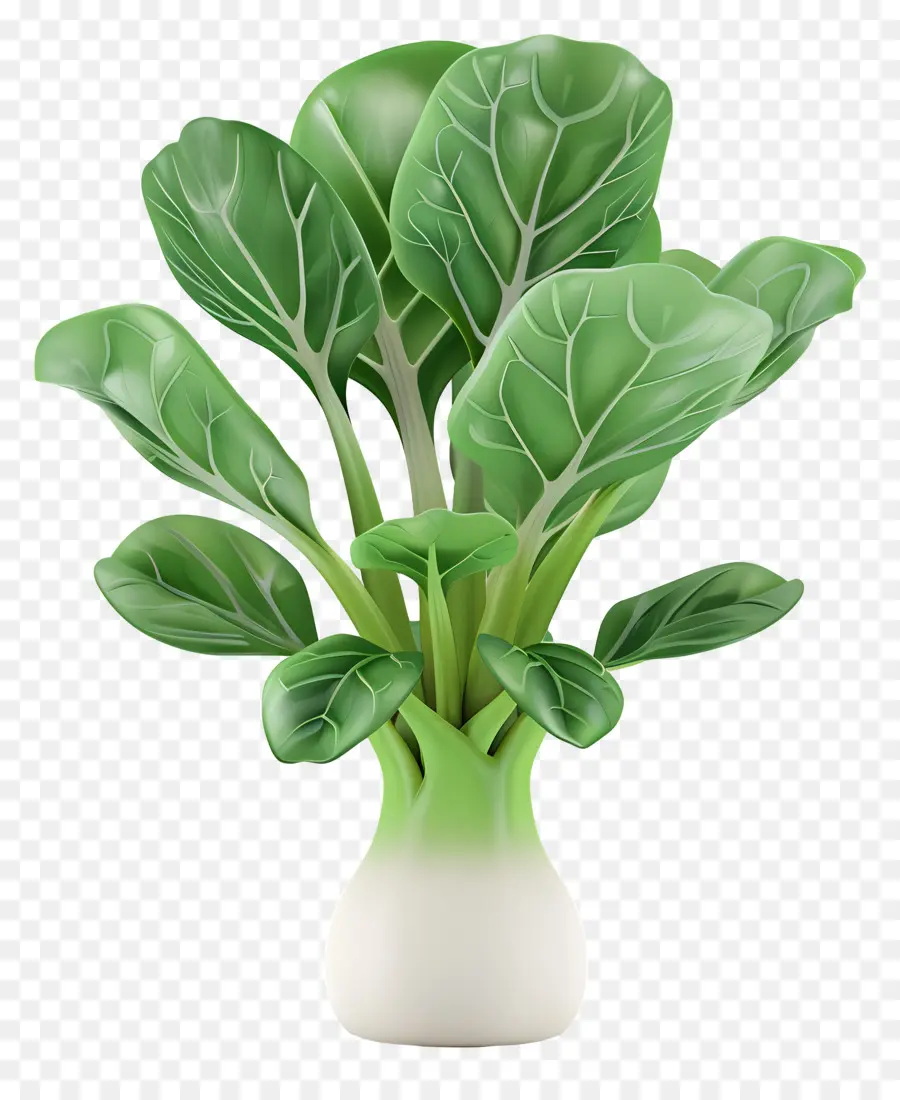 Bok Choy，Vert PNG