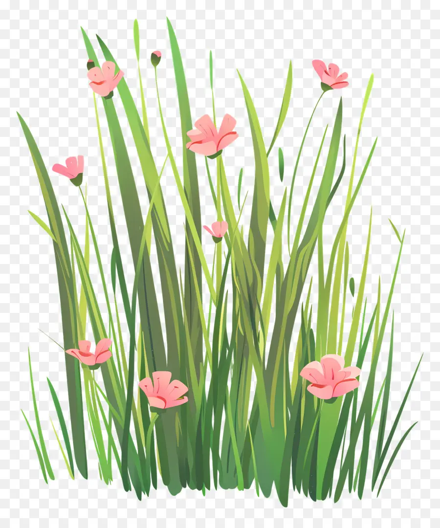L'herbe，Fleurs Sauvages PNG