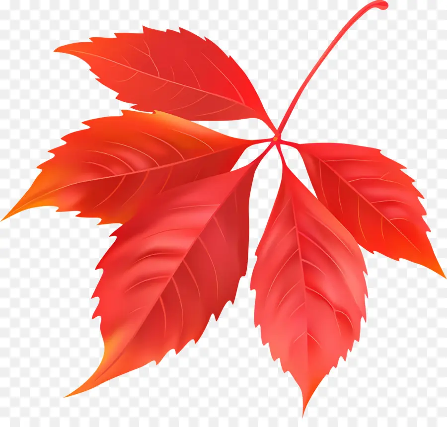 Feuille，Feuille Rouge PNG