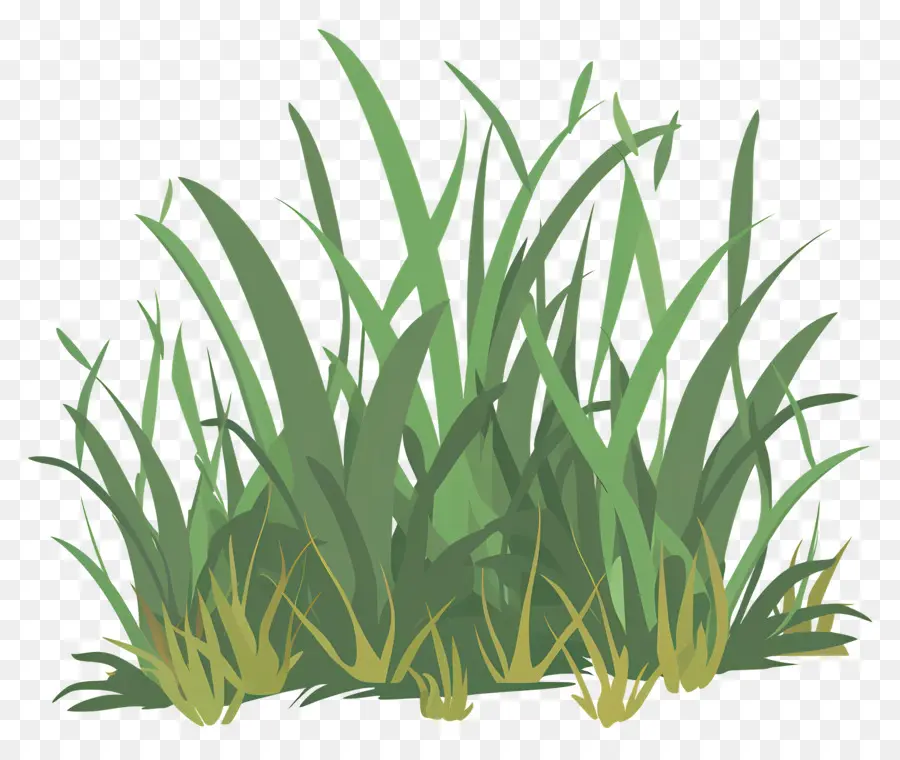 L'herbe，Le Vert De L'herbe PNG