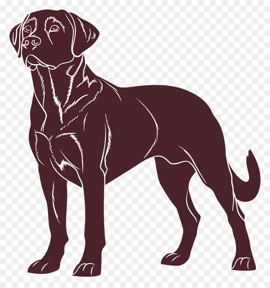 Silhouette De Chien，Chien PNG