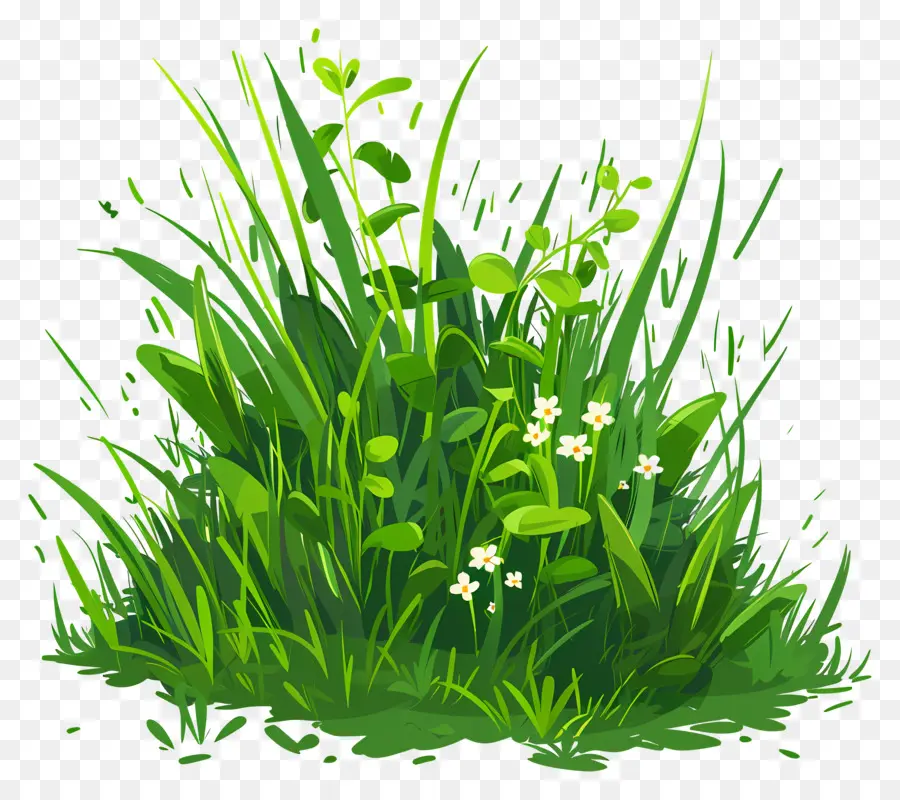 Herbe，Herbe Verte PNG