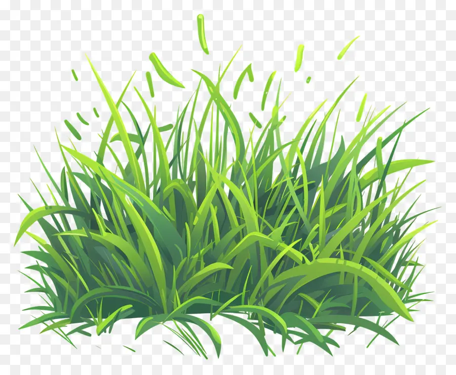 L'herbe，Pelouse Verte Luxuriante PNG