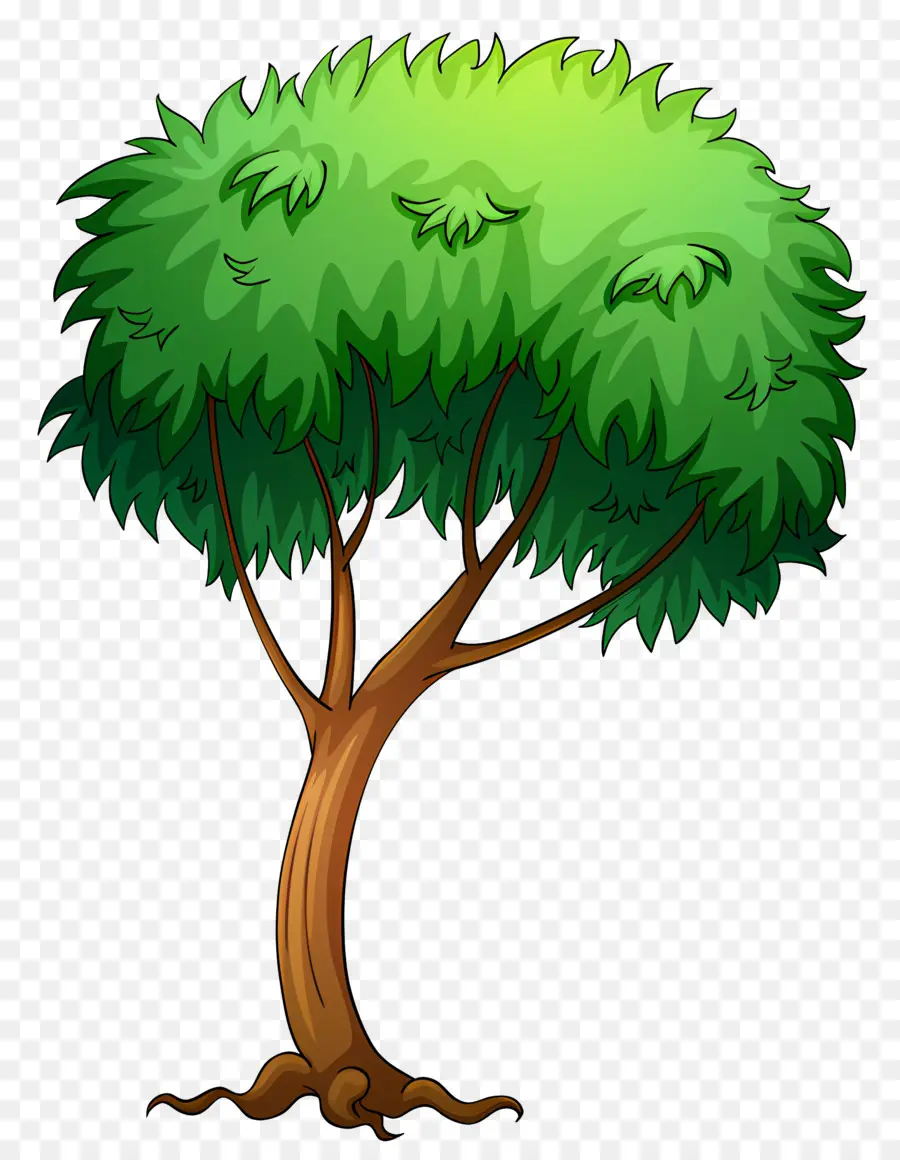 Arbre，Vert PNG