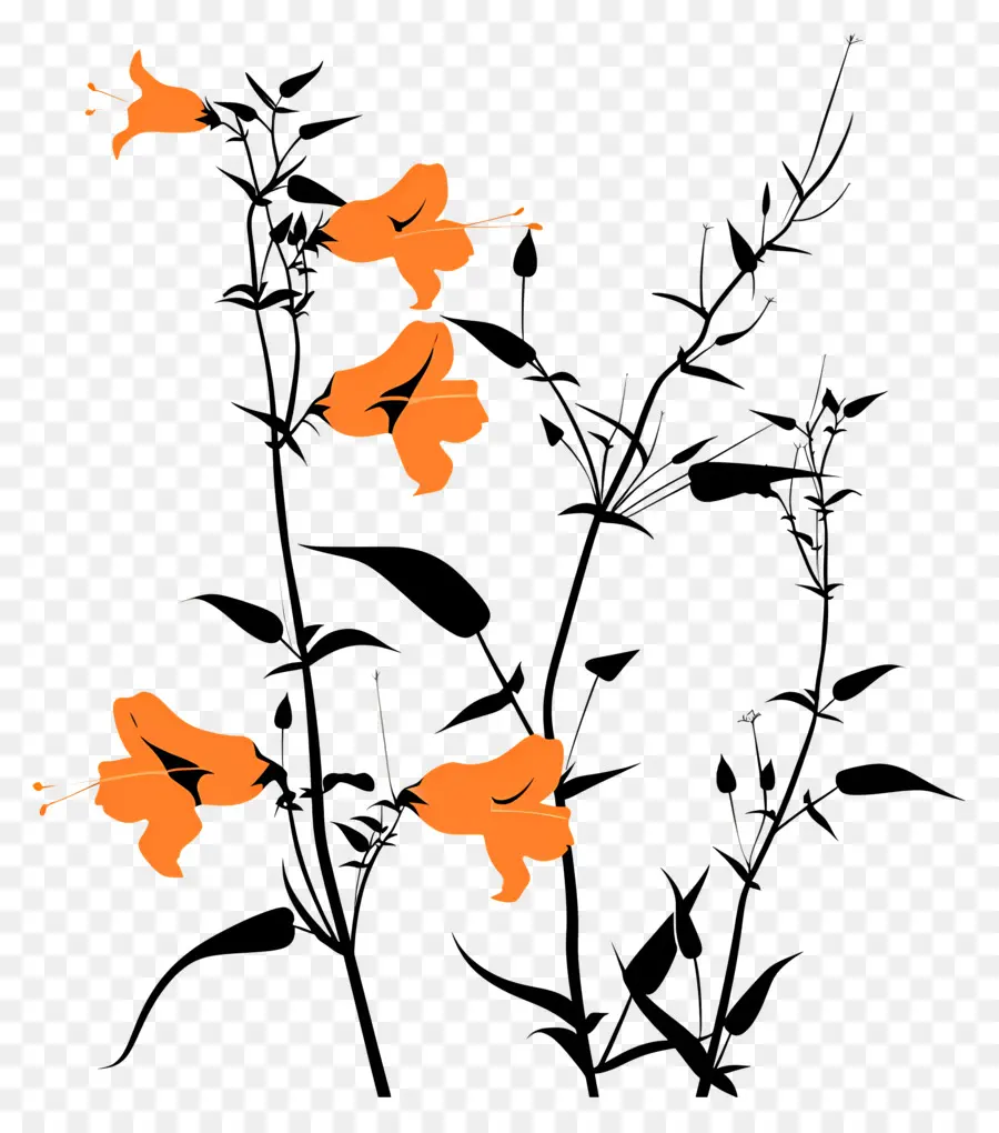 Fleurs Silhouette，Des Fleurs D'orange PNG