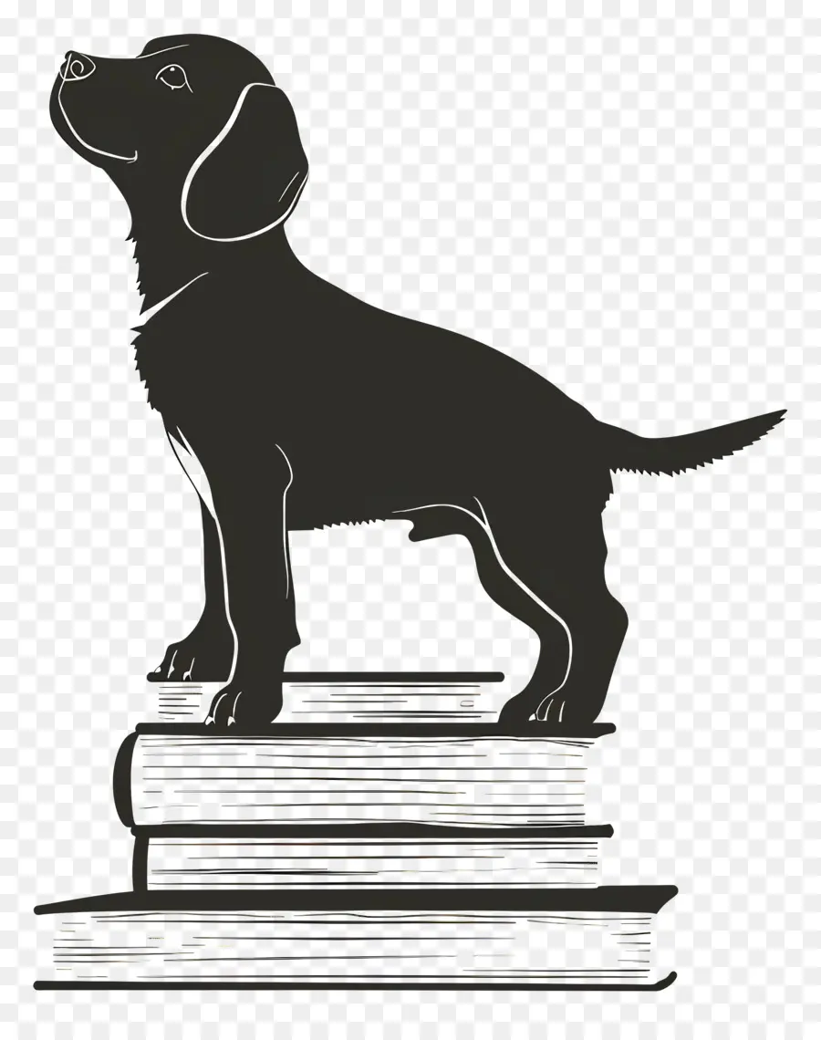 Silhouette De Chien，Chien Sur Les Livres PNG