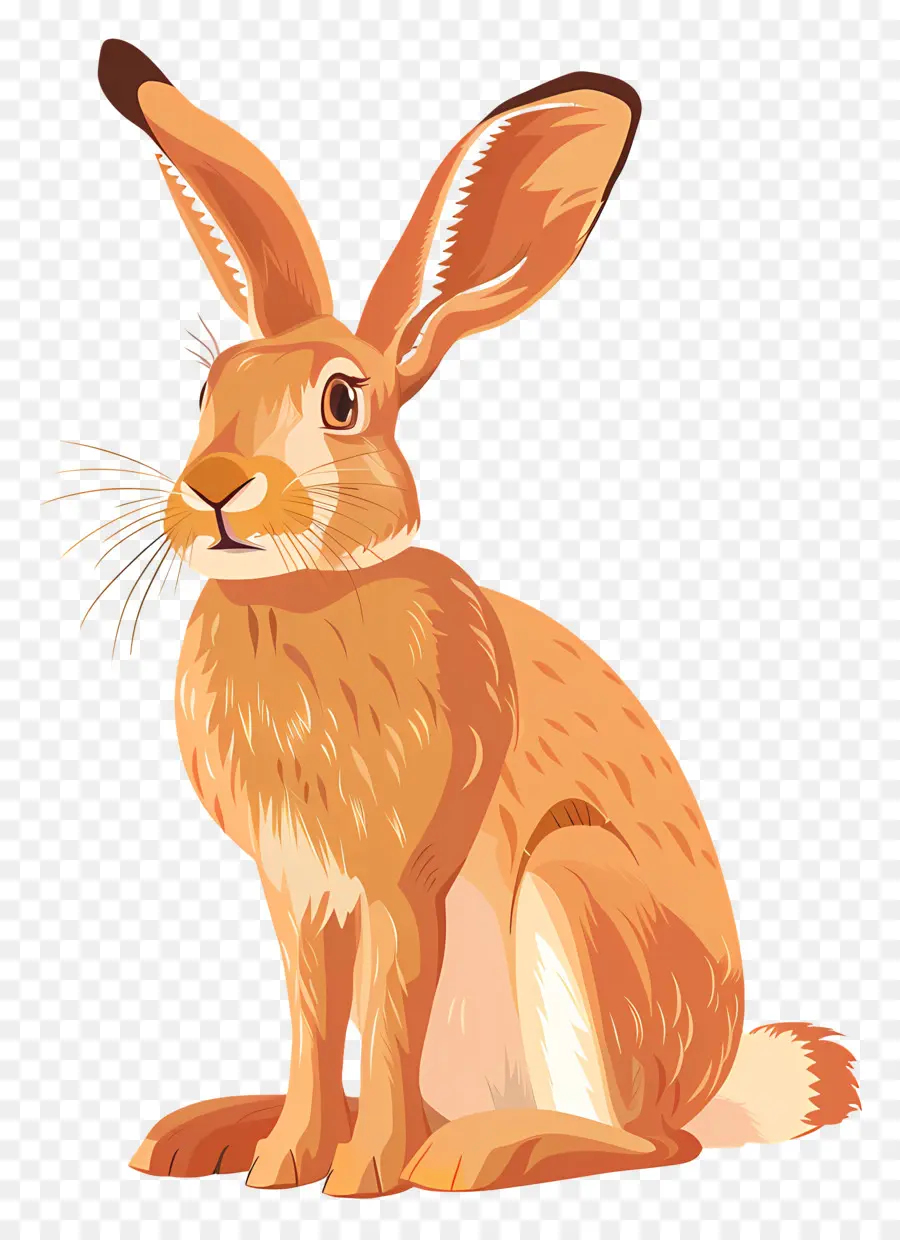 Lièvre，Lapin PNG