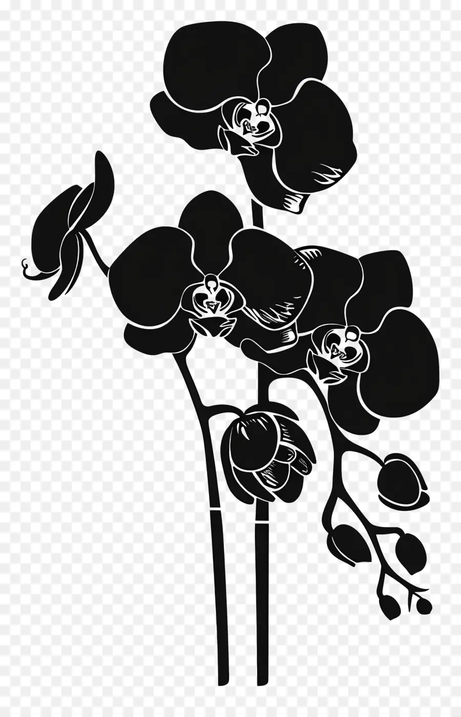Fleurs Silhouette，Orchidée PNG