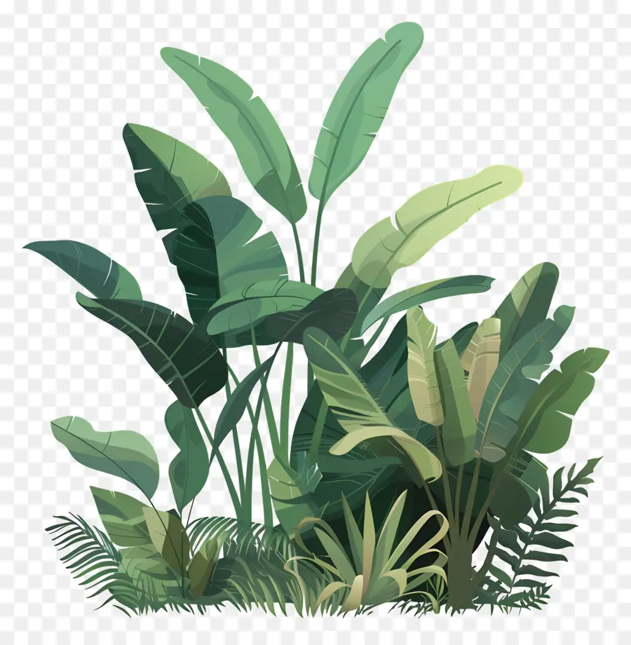 Verdure Luxuriante，Jungle Paysage PNG