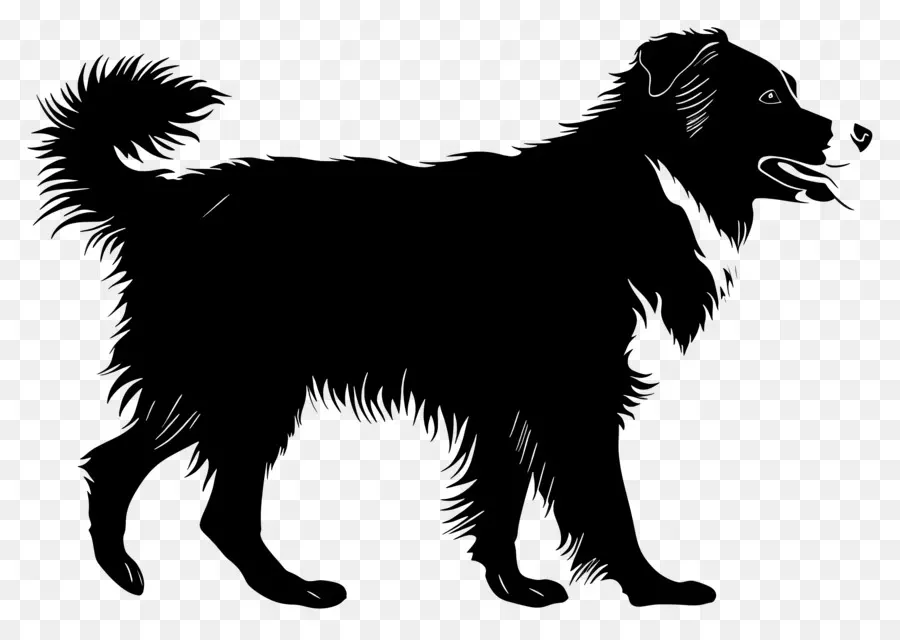 Chien Silhouette，Dessin Noir Et Blanc PNG