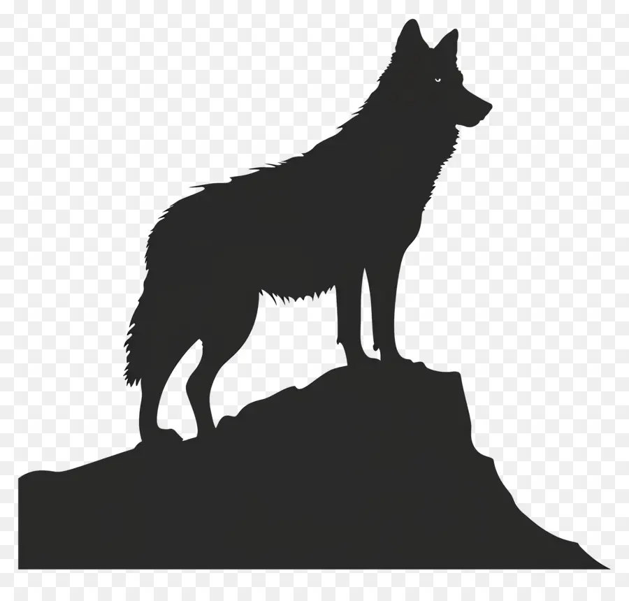 Silhouette De Loup，Montagne PNG