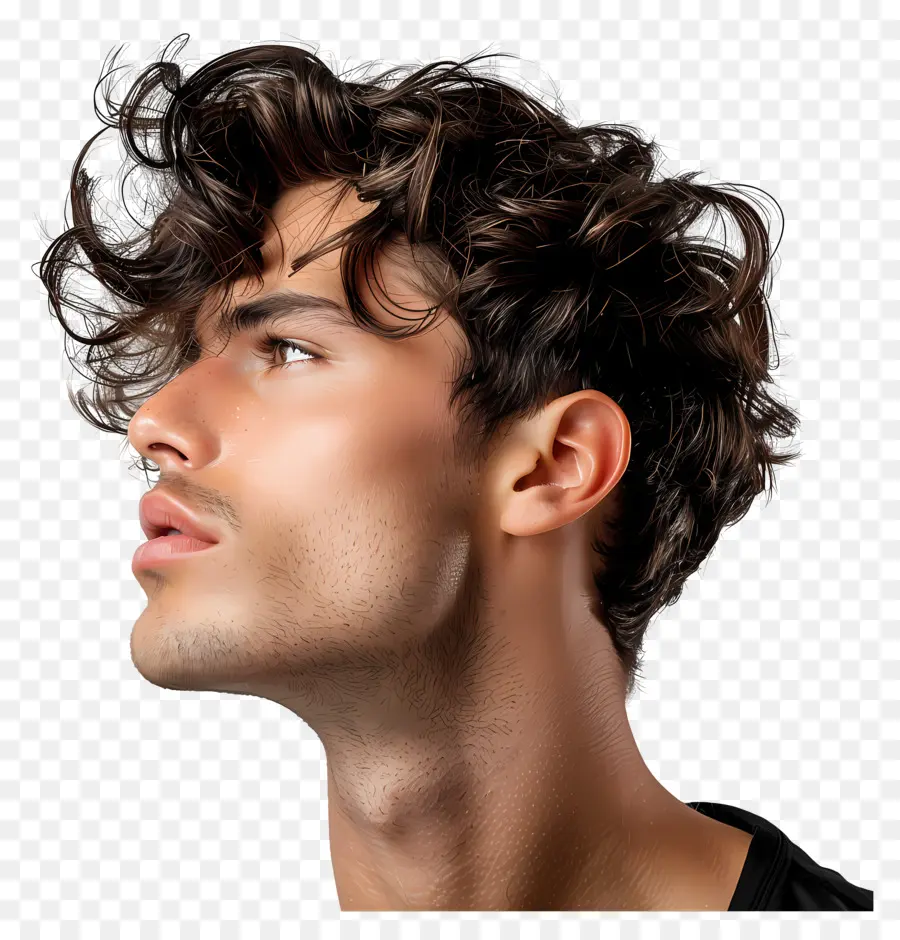 Homme Cheveux，Les Cheveux Bouclés PNG