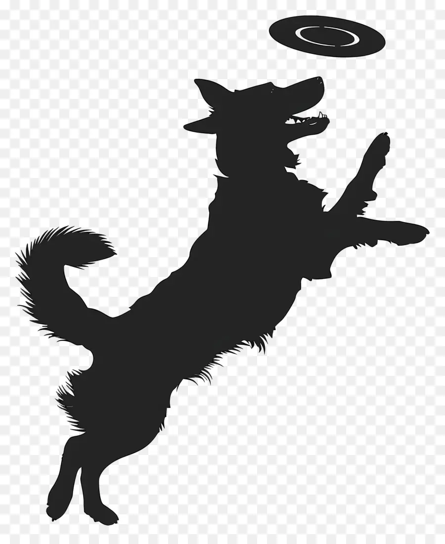 Chien Silhouette，Chien PNG