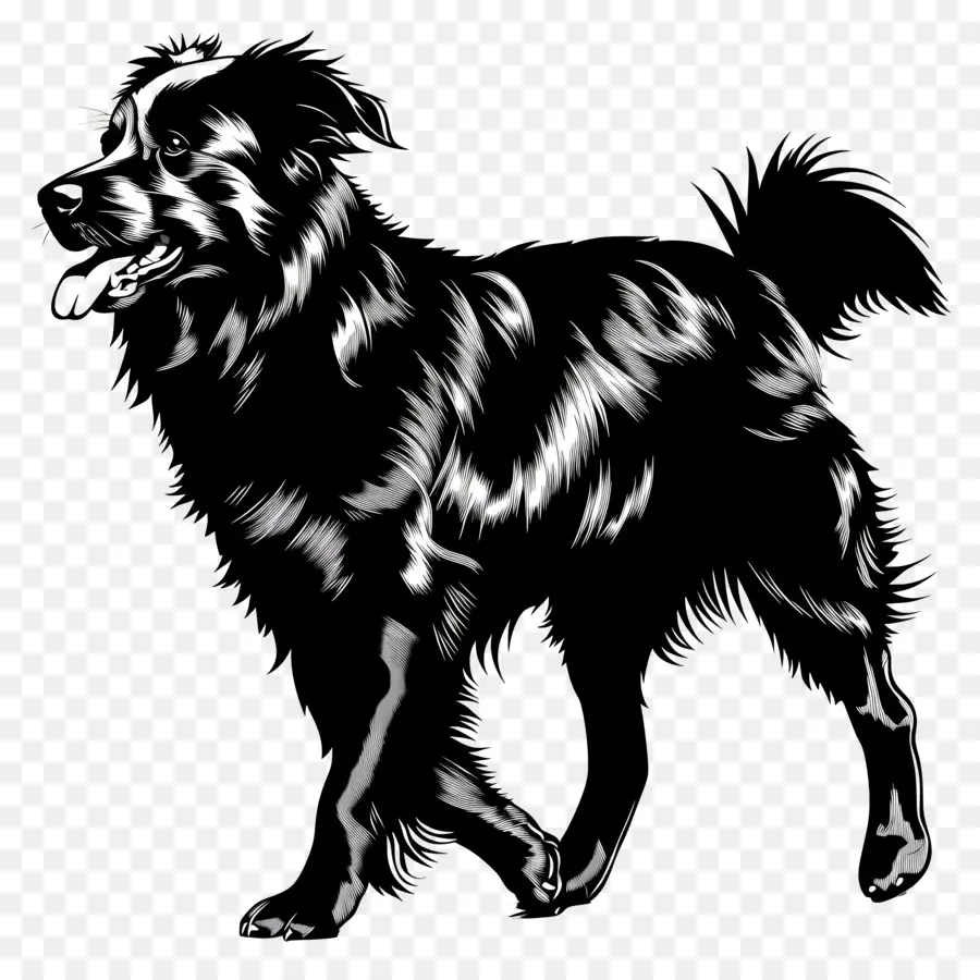 Silhouette De Chien，Chien PNG