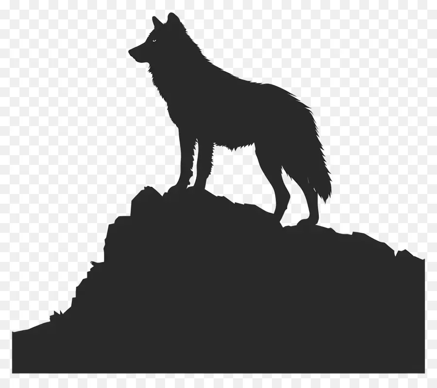 Loup Silhouette，Loup PNG