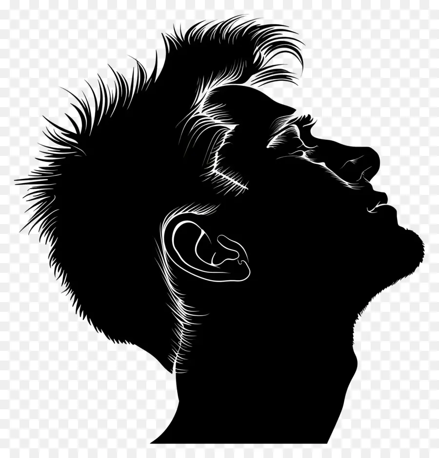 Homme Face Silhouette，L'homme PNG