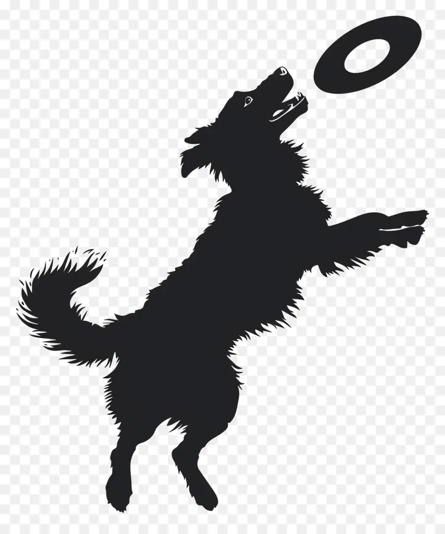 Silhouette De Chien，Chien PNG