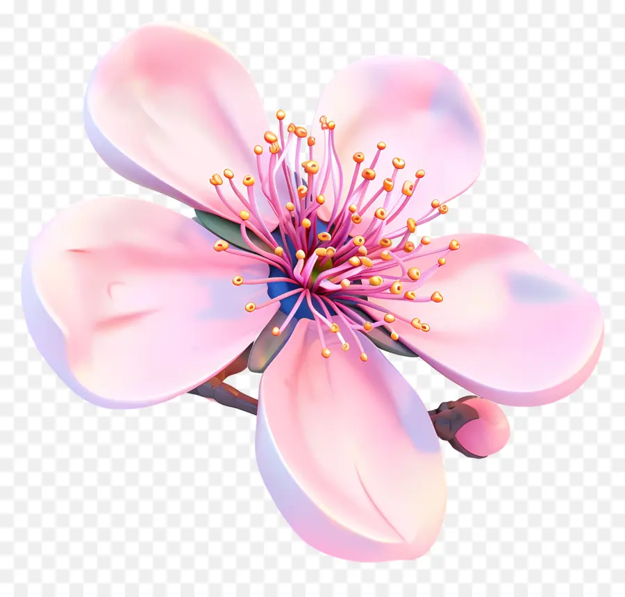 Fleur De Pêche，Fleur Rose PNG