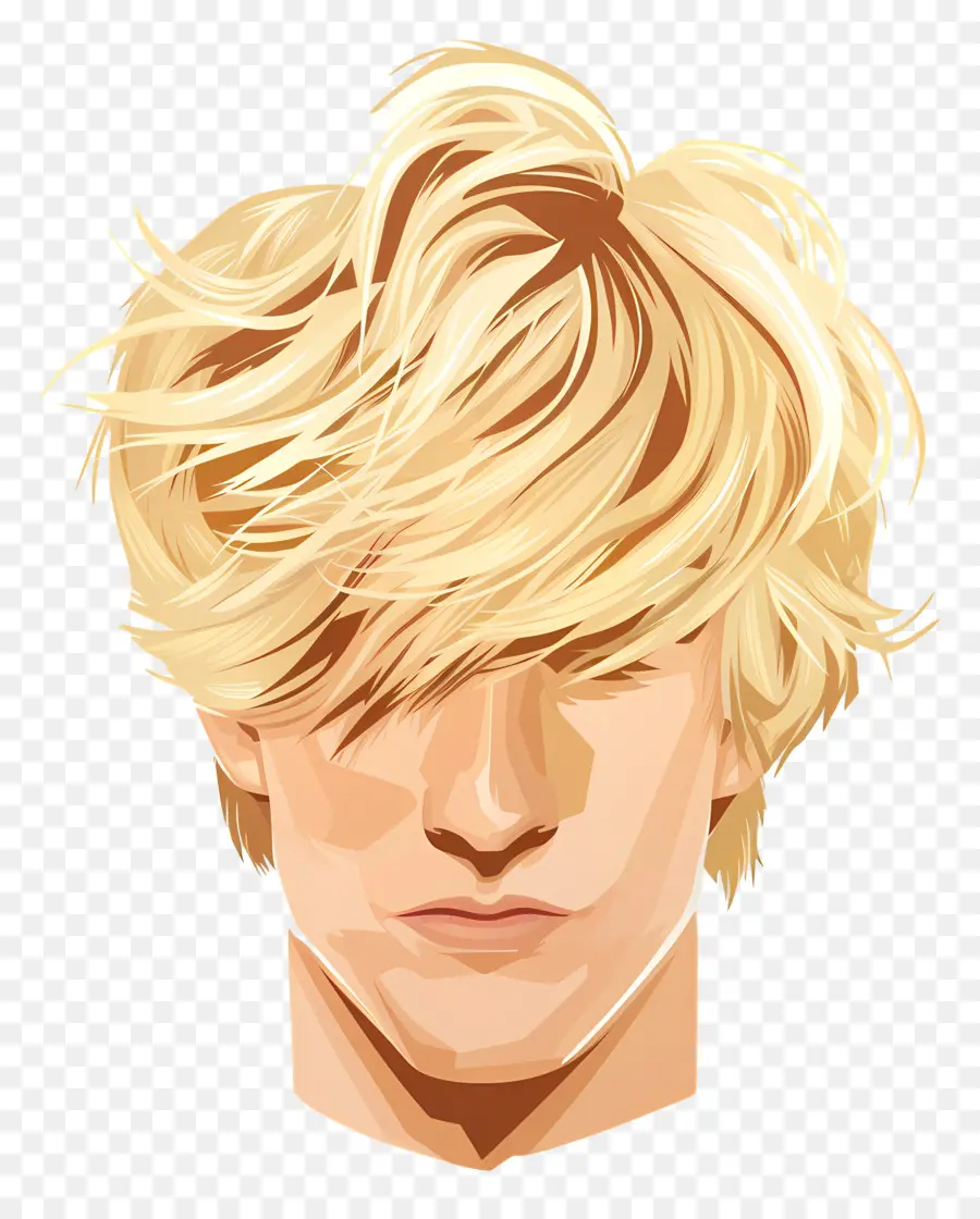 Coiffure Homme，Les Cheveux Blonds PNG