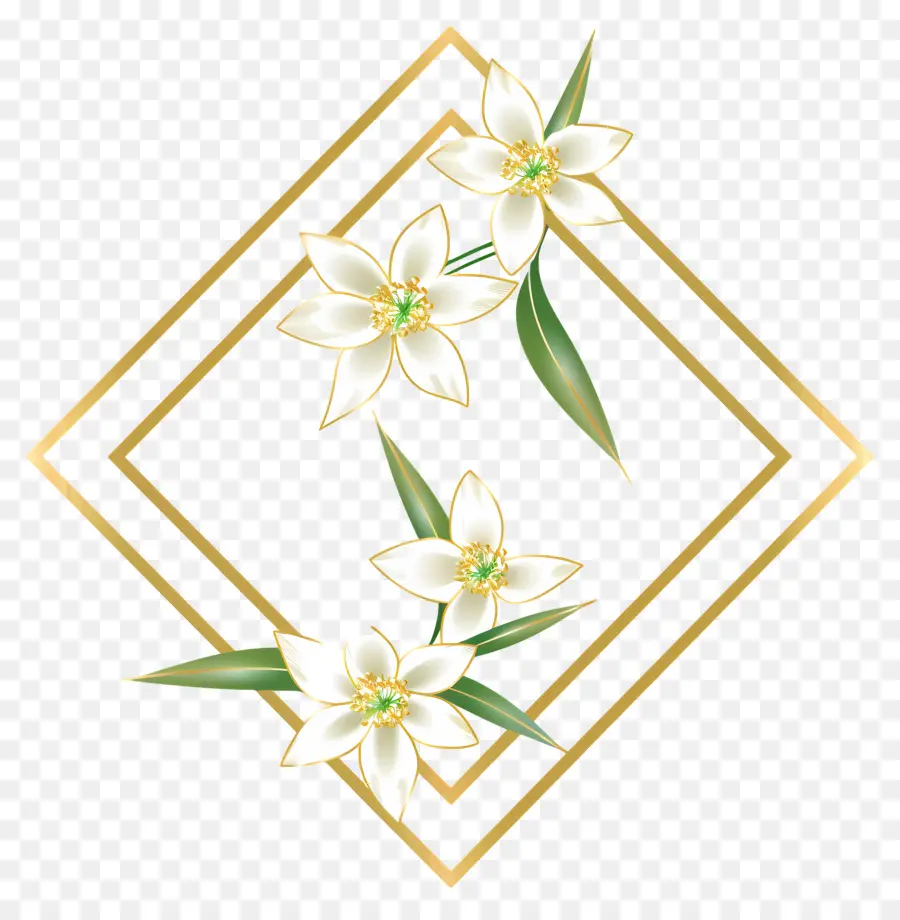 Edelweiss，Fleur PNG
