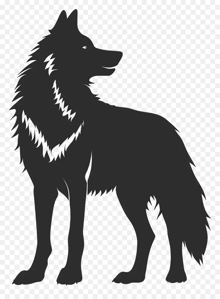 Loup Silhouette，Loup PNG