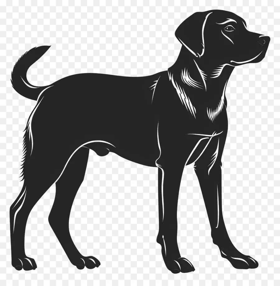 Chien Silhouette，Noir Et Blanc PNG