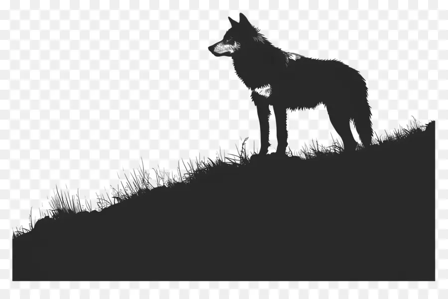 Loup Silhouette，Silhouette PNG