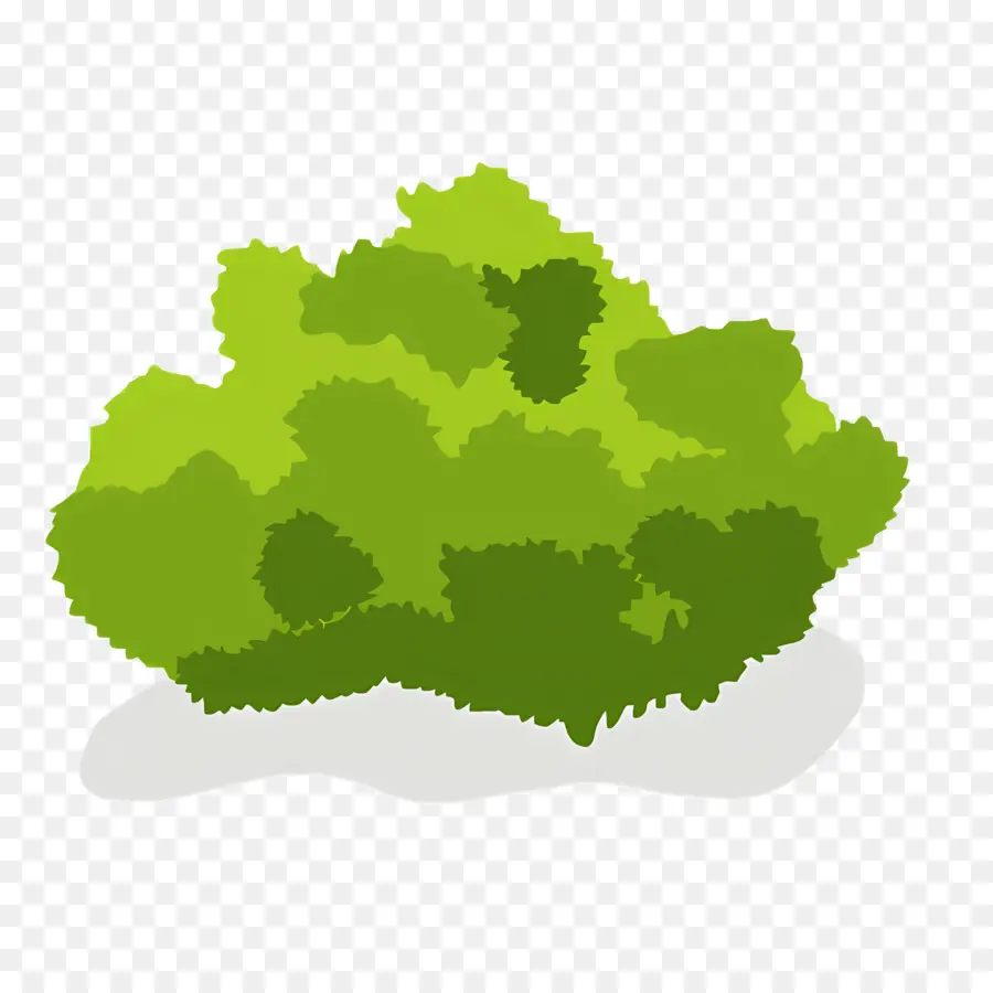 Arbuste，Bush PNG