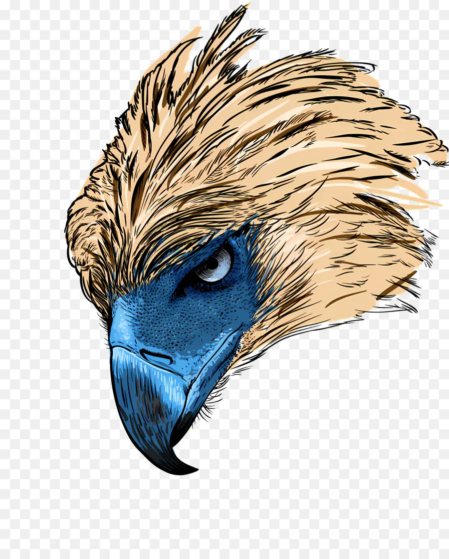 Logo Des Aigles，Oiseau Bleu PNG