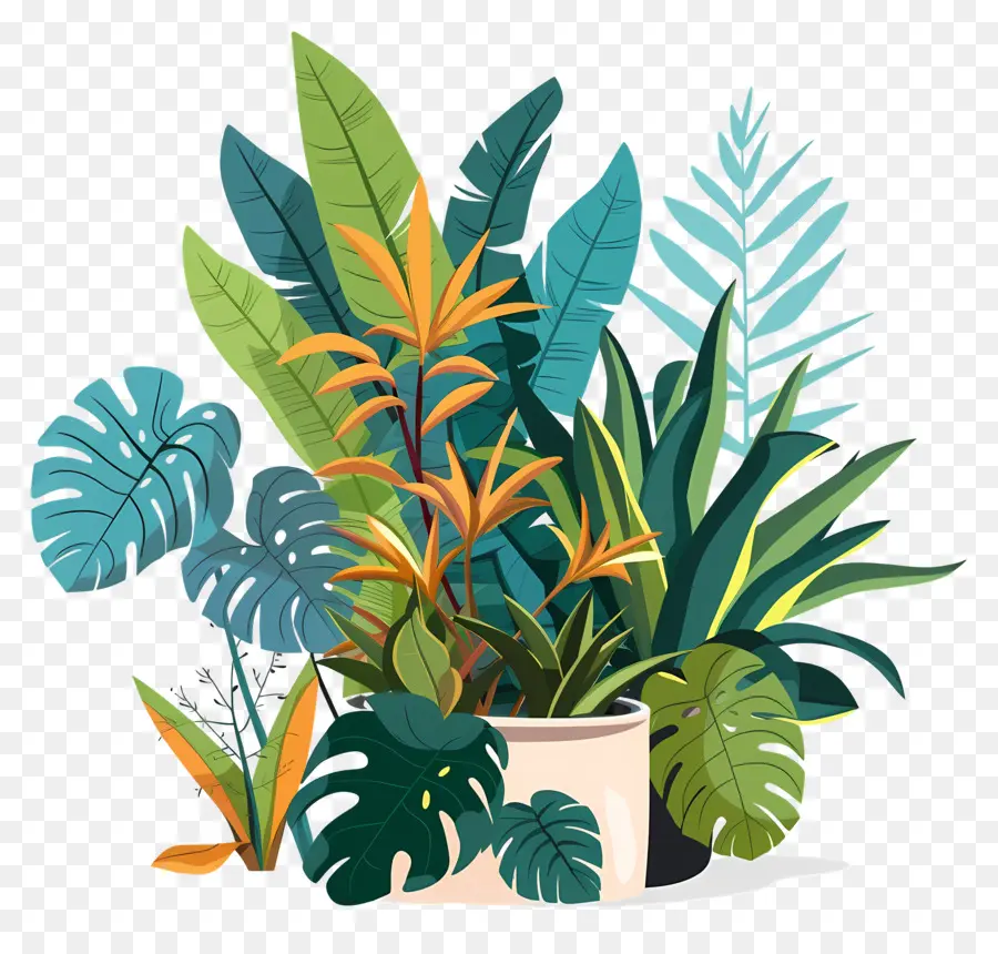 Plantes Luxuriantes，Plantes Tropicales PNG