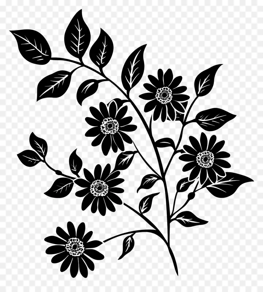 Fleurs Silhouette，Noir Et Blanc Fleurs PNG