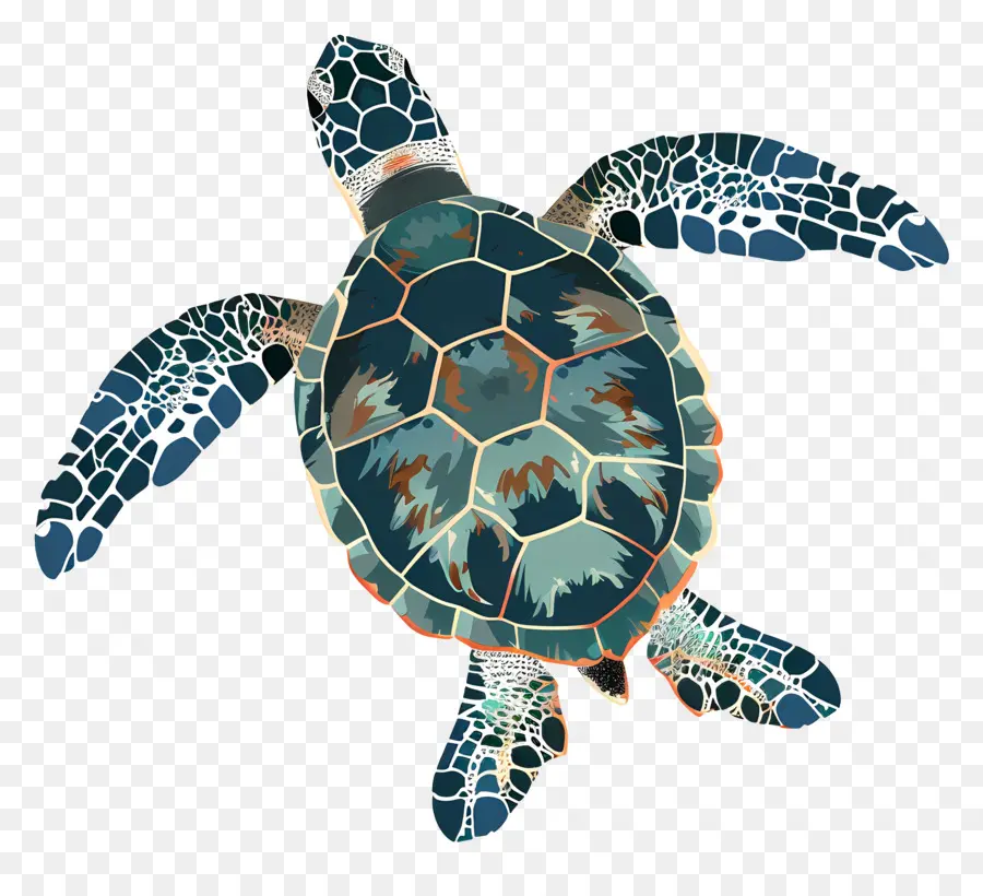 Tortue De Mer，Tortue PNG