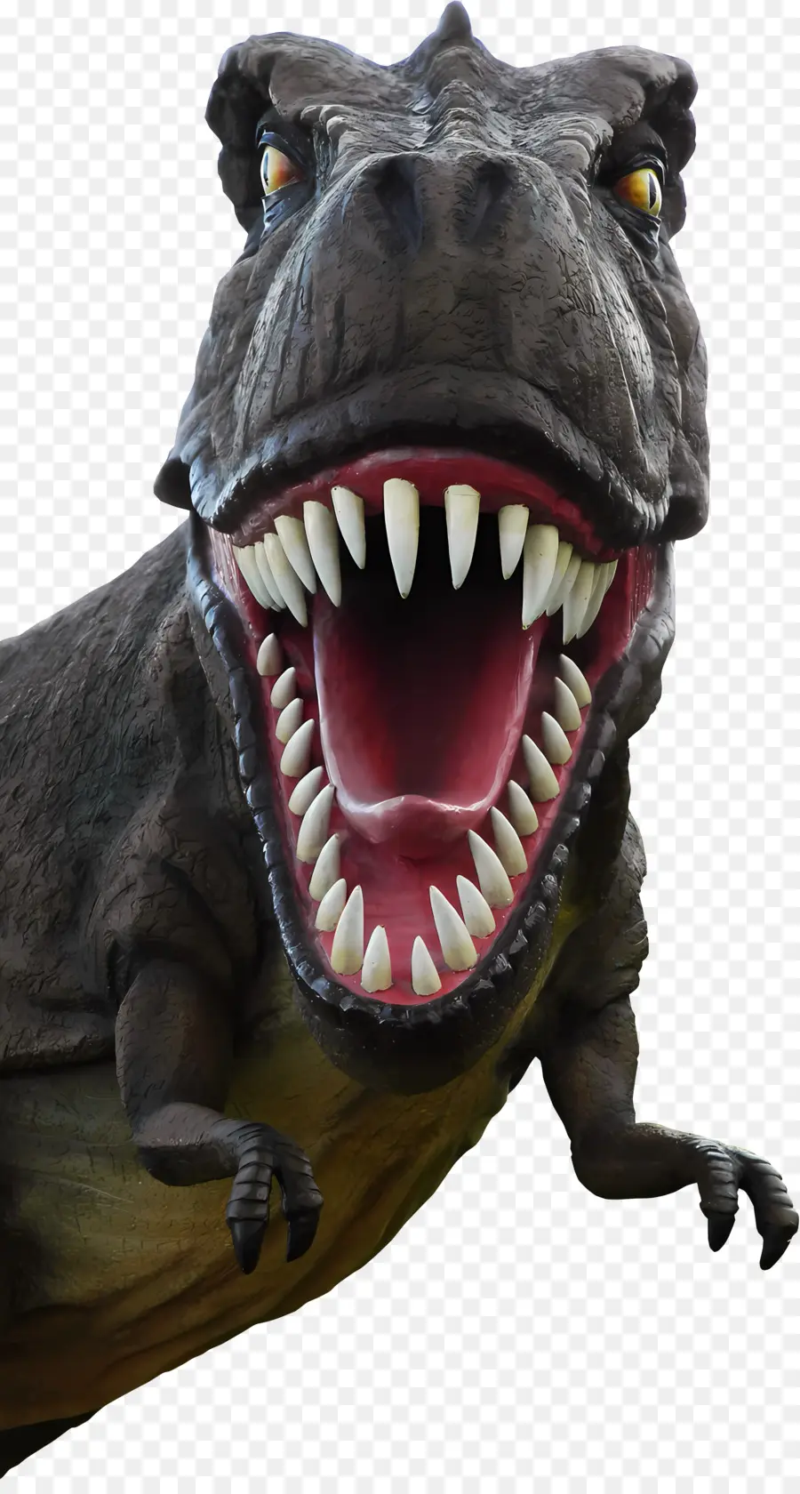 3d，Dinosaure PNG