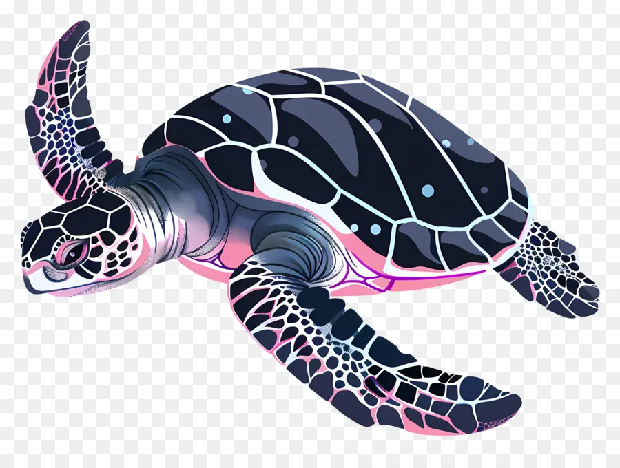 Tortue De Mer，Tortue Rouge PNG