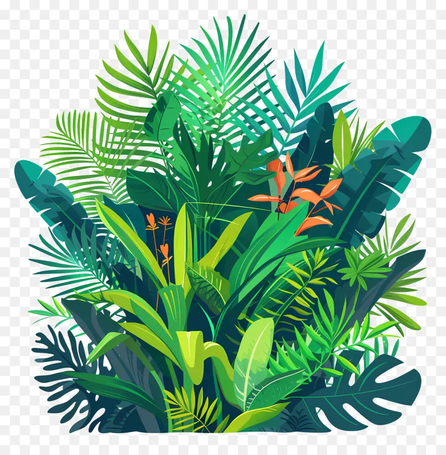 Plantes Luxuriantes，Jungle PNG