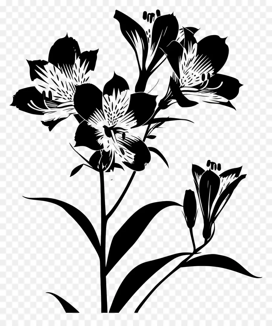 Fleurs Silhouette，Fleurs Noires PNG