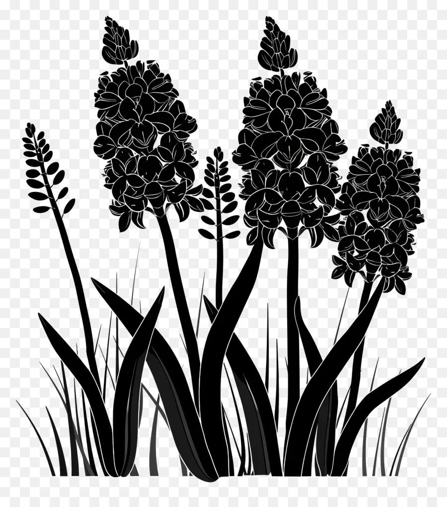 Fleurs Silhouette，Plantes Noires PNG