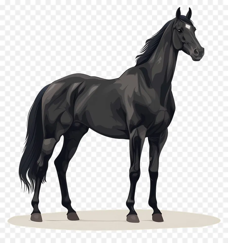 Cheval Noir，Équin PNG