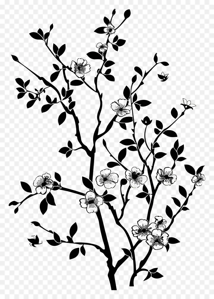 Fleurs Silhouette，Branche Florale Noire Et Blanche PNG