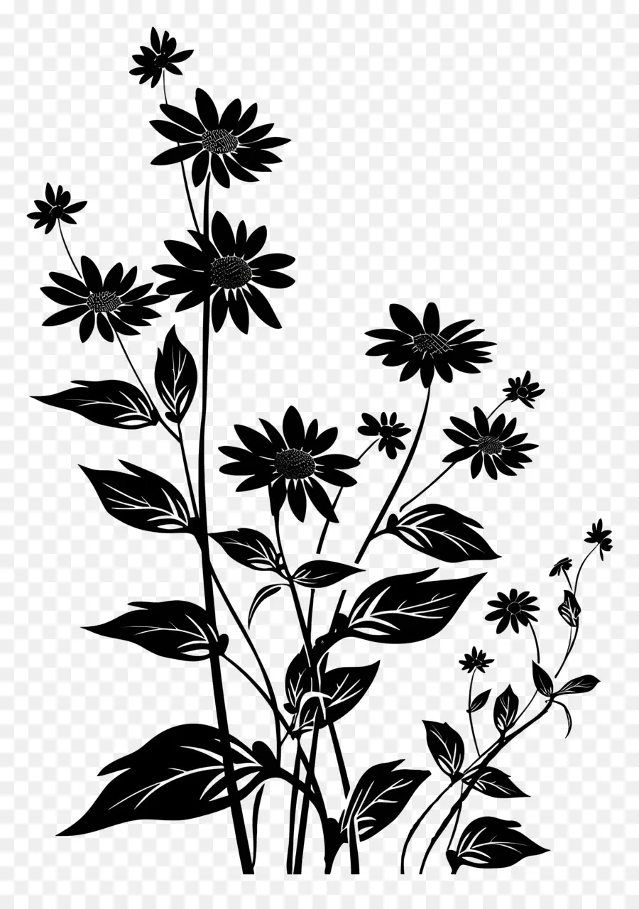 Fleurs Silhouette，Photographie En Noir Et Blanc PNG