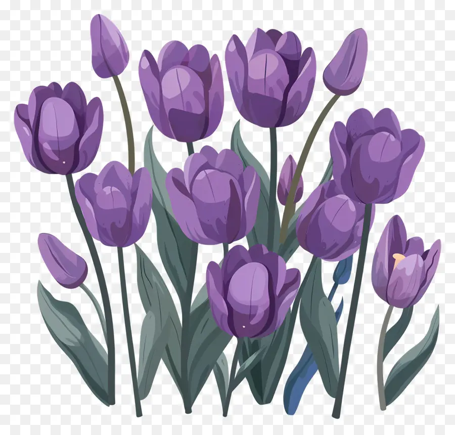 Violet Tulipes，Bouquet De Fleurs PNG