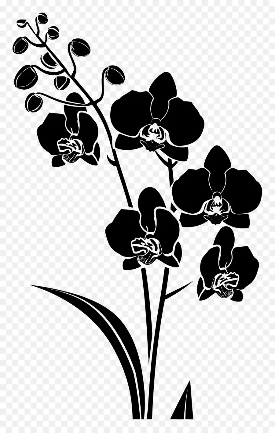 Fleurs Silhouette，Chambre Noire PNG