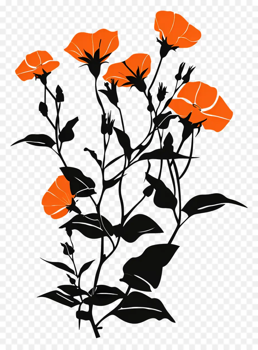 Fleurs Silhouette，Des Fleurs D'orange PNG