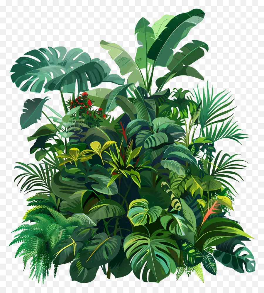Plantes Luxuriantes，La Jungle Tropicale PNG