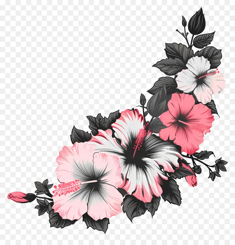 Fleurs Silhouette，Hibiscus PNG