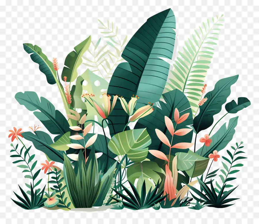 Plantes Luxuriantes，Plantes Tropicales PNG