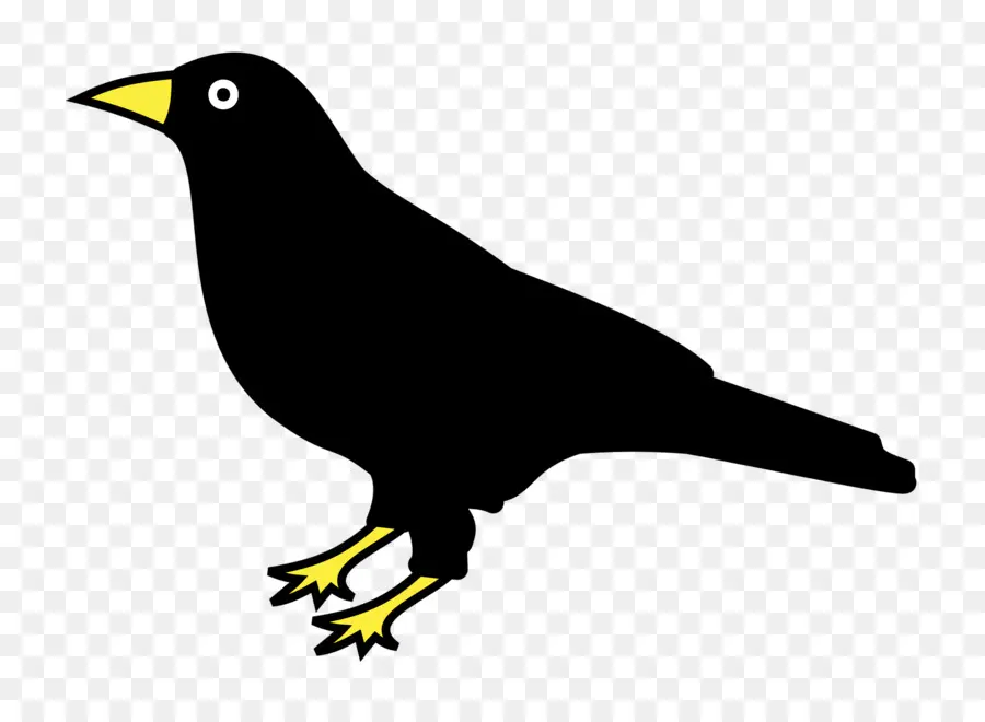 Les Corbeaux Logo，Oiseau PNG