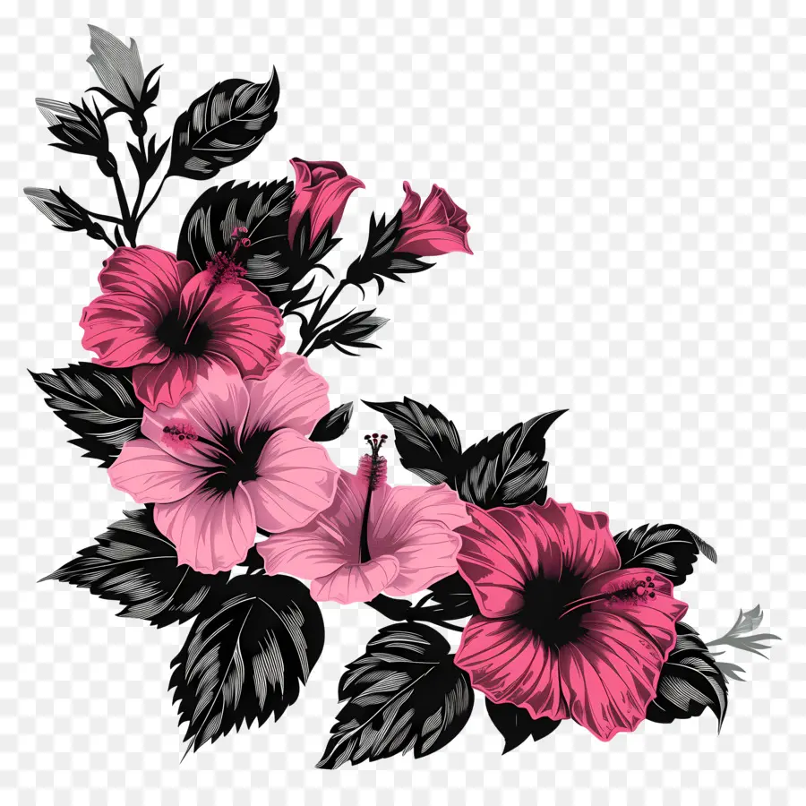 Fleurs Silhouette，Hibiscus Rose PNG